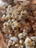 Frankincense/Olibanum Boswelli Caterii Resin