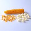 Rich in various nutrients corn popcorn for sale