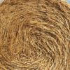Wheat Straw , Wheat Hay , Animal Feed