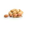 Wholesale Natural Organic First Grade Shelled Peanut Bulk Raw Peanut Sorting Peanuts Nuts &amp; Kernels