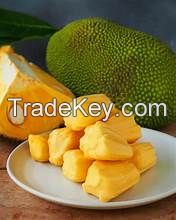 PURE NATURAL FROZEN JACKFRUIT NO ADDITIVES CLEAN LABEL PRODUCT RICH IN FIBER AND VITAMIN C FOR IMMUNE FUNCTION SUPPORT