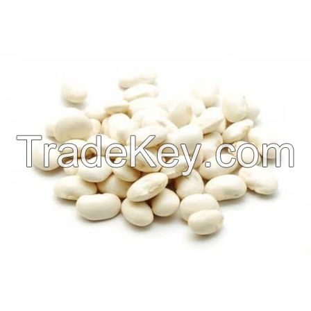 Best Quality Wholesale white kidney Beans For Sale 