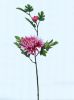Цветок стержня хризантемы