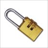 조합 padlock10