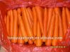 верхняя свежая морковь