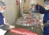 голубые поставщики туны ребра, голубые консигнанты туны ребра, голубые изготовления туны ребра, голубые торговцы туны ребра, голубые импортеры туны ребра