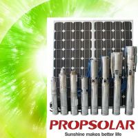 Propsolar 고능률 Ac와 Dc 태양 수도 펌프