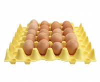 поднос пластмассы 30-egg