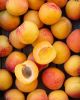 Fresh Apricots fruits