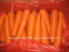 Свежие моркови