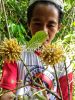 Порошок Kratom надувательства (Mitragyna Speciosa)