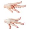 Export Chicken Paw | Chicken Feet Suppliers | Poultry Feet Exporters | Chicken Feets Traders | Processed Chicken Paw Buyers | Frozen Poultry Paw Wholesalers | Low Price Freeze Chicken Paw | Best Buy Chicken Paw | Buy Chicken Paw | Import Chicken Paw | Chi