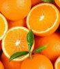 FRESH NAVEL Oranges and VALENCIA ORANGES Fresh Sweet Valencia Orange/ Navel Orange From South Africa Origin Available