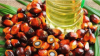 palm oil 