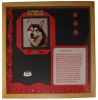 Pet Shadow Boxes $25.00