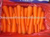 свежая китайская морковь