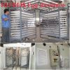 hatcher яичек курицы насиживая машину RD-8448