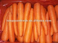 2012 моркови урожая дешевых