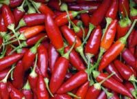 перец Chili