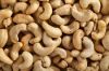 best quality Cashew 