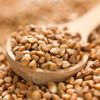 High Quality Organic Buckwheat kernels