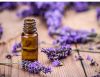 Lavender Essential Oil