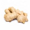 100% Pure Fresh Organic Ginger