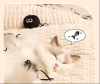 2025CATALOG_PetSupplies@orienthetics
