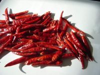 все виды Chillis