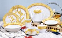 Точный Dinnerware фарфора