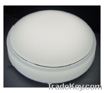 Led Ceiling Ligh