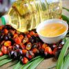 crude palm kernel oil for sale