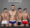 PINKHERO men underwear (M,L,XL,XXL) Cotton shorts men pants free shipping NK-075
