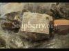 Soapberry Soap Bar