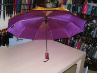 зонтик хамелеона