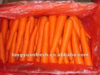 свежая китайская морковь