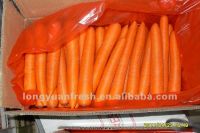 Урожай китайской моркови новый