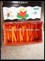 естественная симпатичная морковь