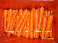 верхняя свежая морковь 2012