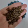 Bulk Diammonium Phosphate (DAP) Fertilizer Ã¢ï¿½ï¿½ Best Phosphorus Source for Agriculture