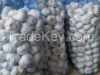 Fresh IQF Frozen Garlic (Cultivation Organic, Frozen Snow and Fresh)