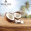 Organic Virgin Coconut Oil FDA Certificed