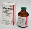 OxyContin  powerful painkillers for sale 