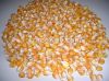 yellow Corn for animal feed