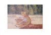 Реальная картина маслом леопарда картины на искусстве художника холстины