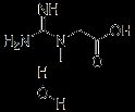 크레아틴 Monohydrate