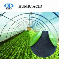 Leonardite Humic 비료