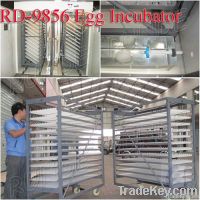 используемое машинное оборудование яичка инкубатора цыплятины для сбывания