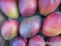 Свежие мангоы