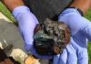 IRON ORE